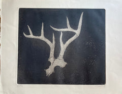 Page Smith Etching. Antlers. 1988
