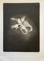 Page Smith Etching. Vertebra IV. (1988)