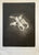 Page Smith Etching. Vertebra IV. (1988)