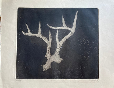 Page Smith Etching. Antlers. 1988