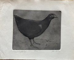 (Page Smith Etching) Pullet. 1988