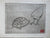 Page Smith Etching & its Original Pencil Drawing:  [Tortoise & Chicken.] 1988.