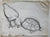 Page Smith Etching & its Original Pencil Drawing:  [Tortoise & Chicken.] 1988.