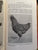 (Chickens) International Poultry Guide for Flock Selection. By Loyal F. Payne. (1950)