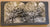 Stereo card of The Eccentric Growth of Cocoa Pods on Trees, Domenica BWI. )ca. 1920s)
