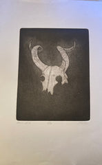Page Smith Etching. Ram's skull. [1988]