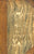 (Charles Kean, Actor)  Modern Standard Drama, edited by Epes Sargent.  [1845-46].