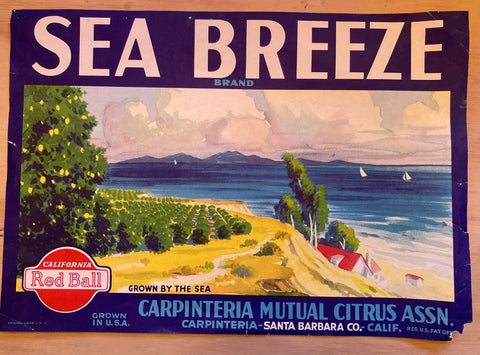 [Fruit Crate Label] Sea Breeze Citrus. (Carpinteria, Santa Barbara, Calif.) [1950s]