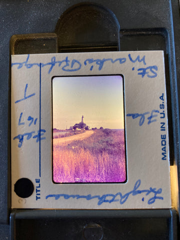 (Slides) 65 Color Slides of Wakulla Springs and St. Mark's Nat'l Wildlife Refuge, FL. [1967]