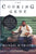 The Cooking Gene.  A Journey Through African American History in the Old South.  By Michael W. Twitty.  NY:  Amistad, 2017. 